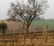 I Luoghi di San Biagio (26)