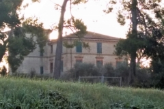 I Luoghi di San Biagio (52)